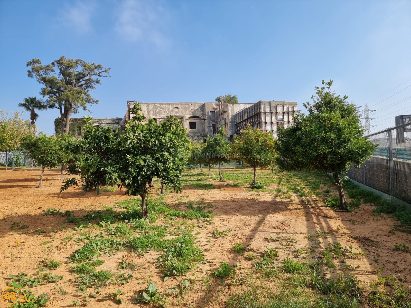 WhatsApp Image 2022-01-08 at 1.29.40 PM (2).jpg